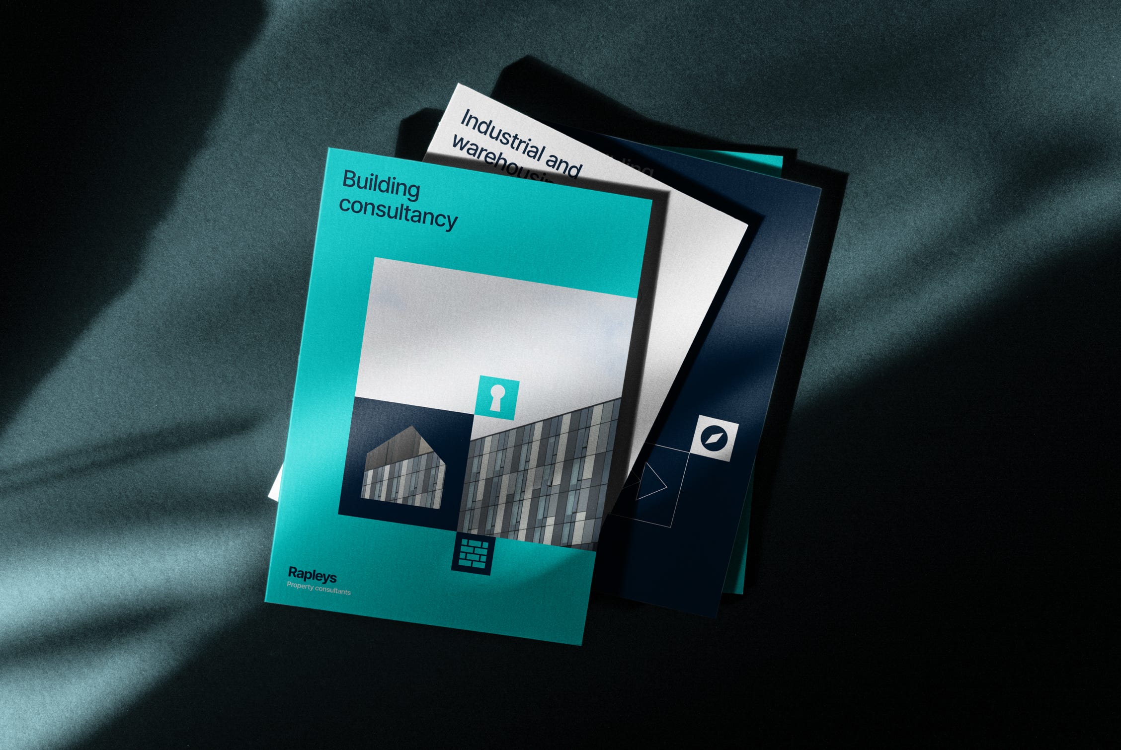 Rapleys branding image 1